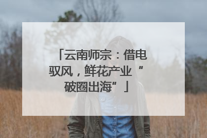 云南师宗：借电驭风，鲜花产业“破圈出海”